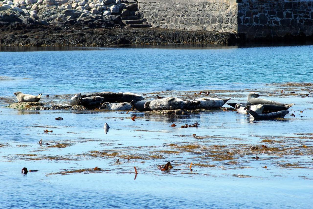 Orsay House Bed & Breakfast Portnahaven Dış mekan fotoğraf